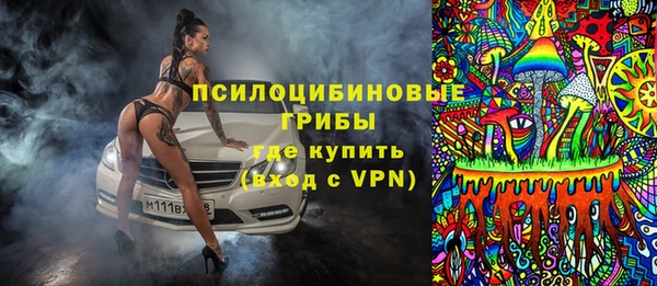 индика Володарск
