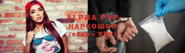 индика Володарск