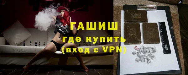 индика Володарск