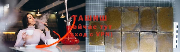 индика Володарск