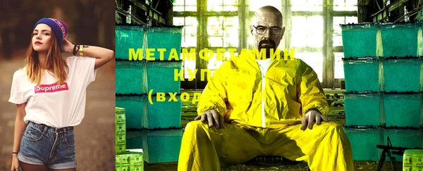 индика Володарск
