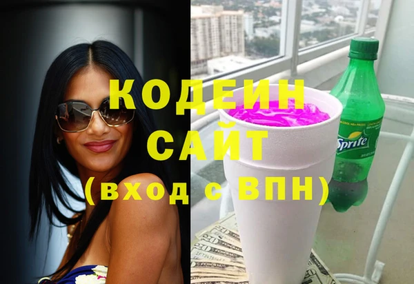 индика Володарск