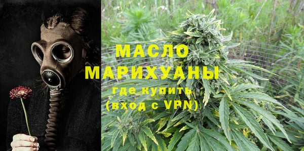 индика Володарск