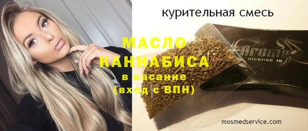 индика Володарск