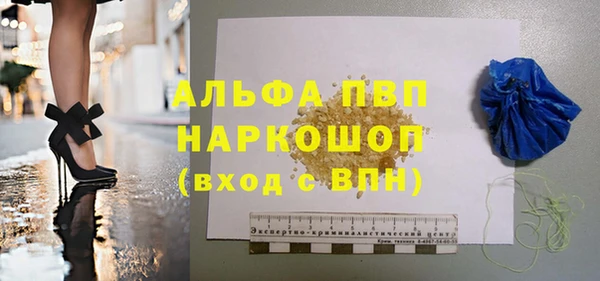 индика Володарск