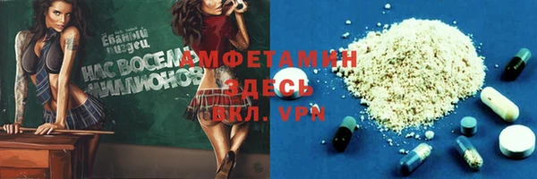 индика Володарск